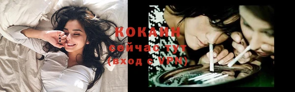 стафф Армянск